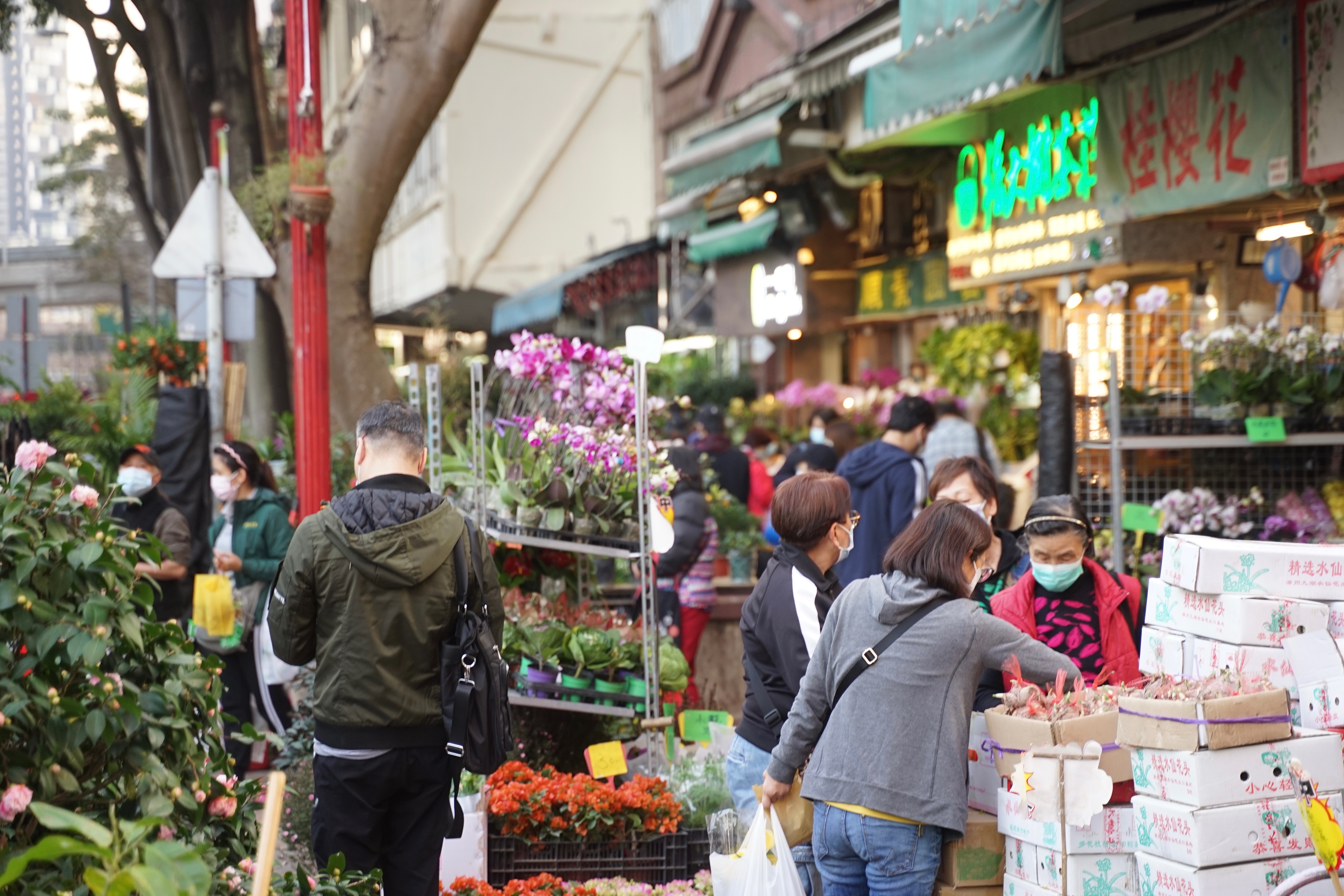 年宵取消 花墟店主高呼 真係㗎 會多入兩成貨惟擔心人流管制
