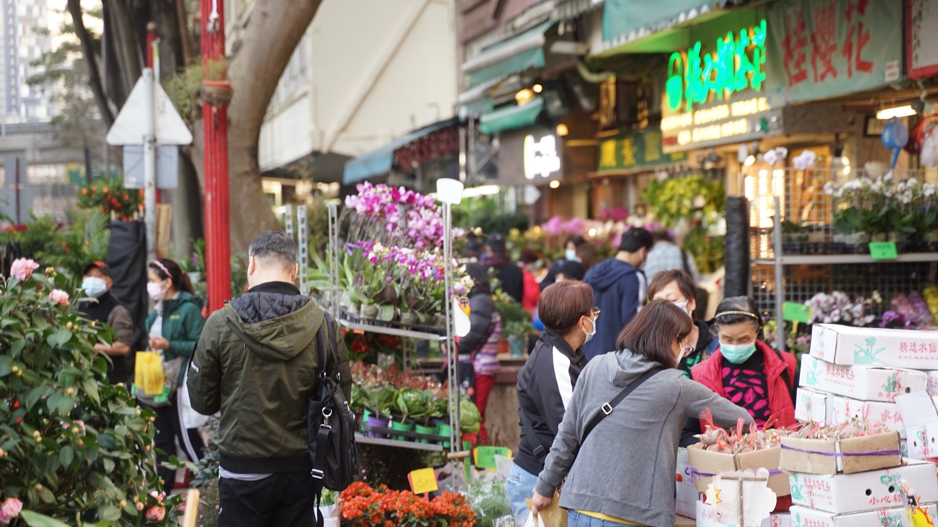 年宵取消 花墟店主高呼 真係㗎 會多入兩成貨惟擔心人流管制 年宵取消 花墟店主高呼 真係㗎 會多入兩成貨惟擔心人流管制