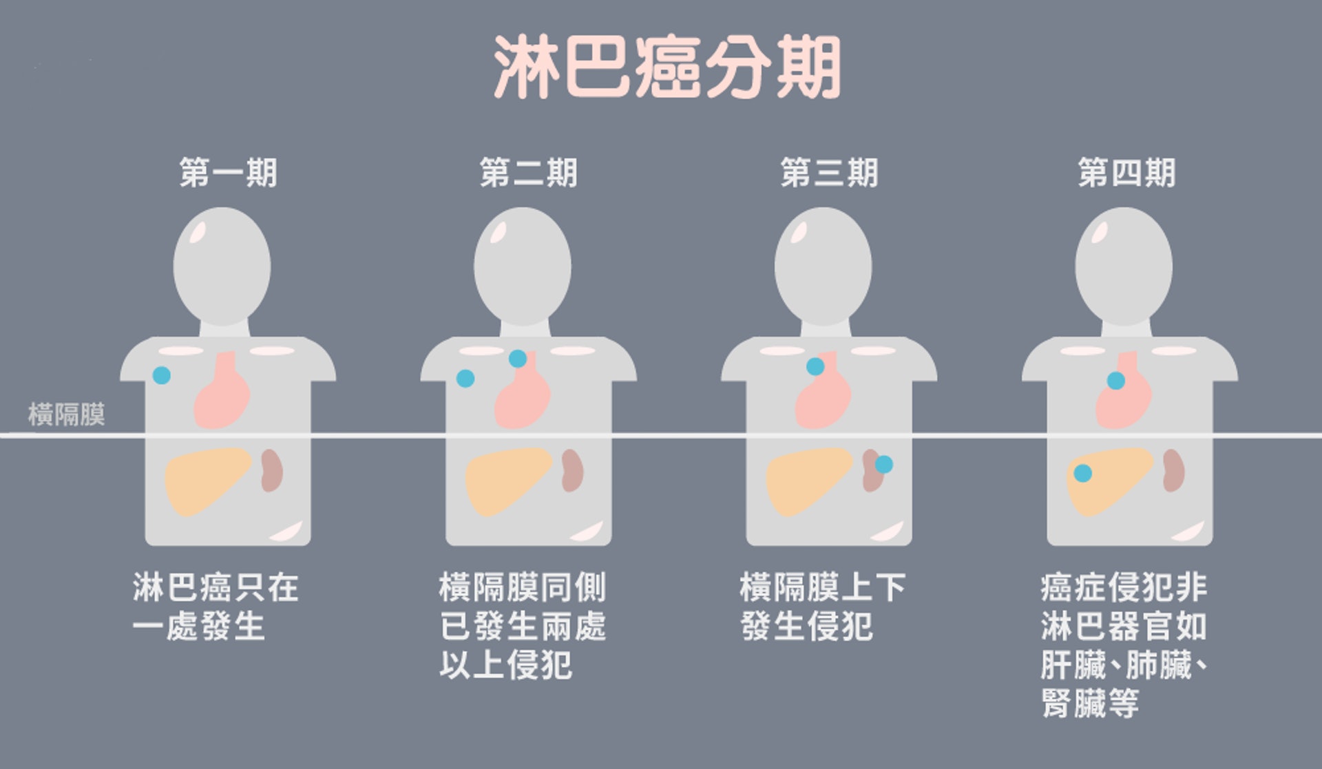 (圖片:ihealth) (圖片:ihealth)