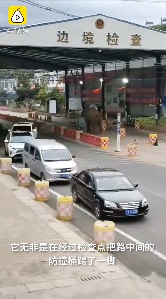「斷牙」一邊吼叫，一邊走入邊檢站。（影片截圖）