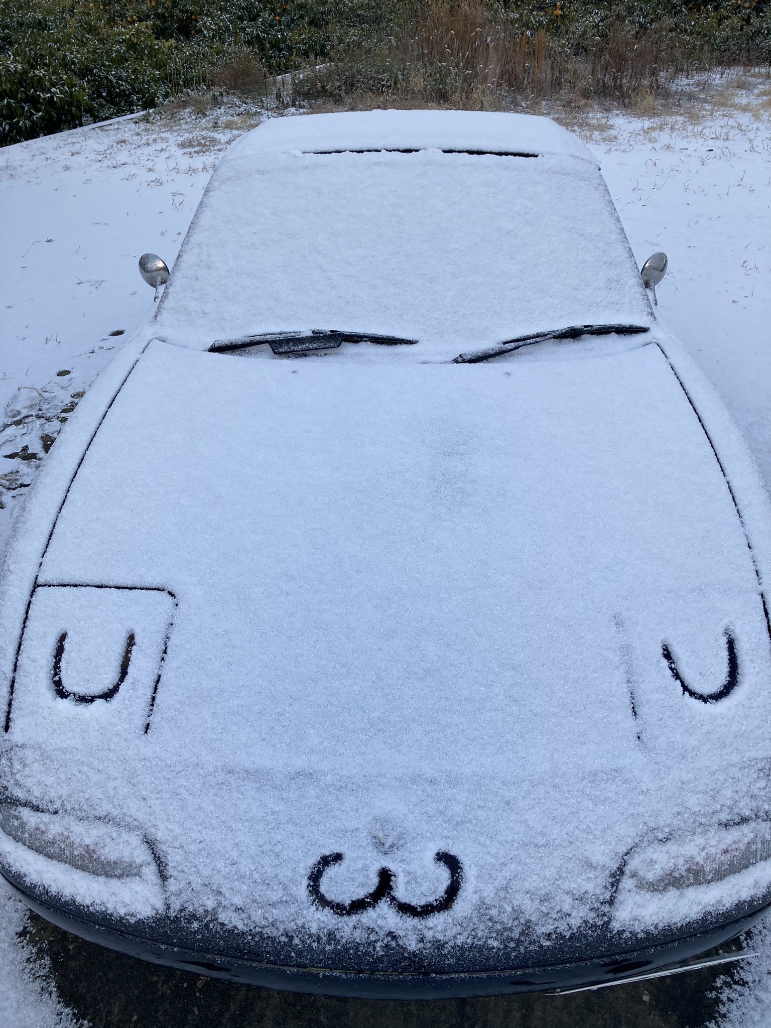 趣一趣 日男雪地玩 畫車點睛 愛車變勁萌識 眨眼 獲激讚