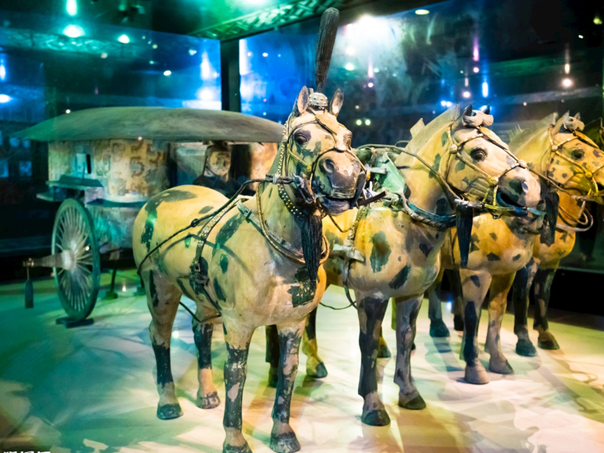 歷史探秘 究竟是本土或西來學者激辯中國馬車起源 歷史探秘 究竟是本土或西來學者激辯中國馬車起源