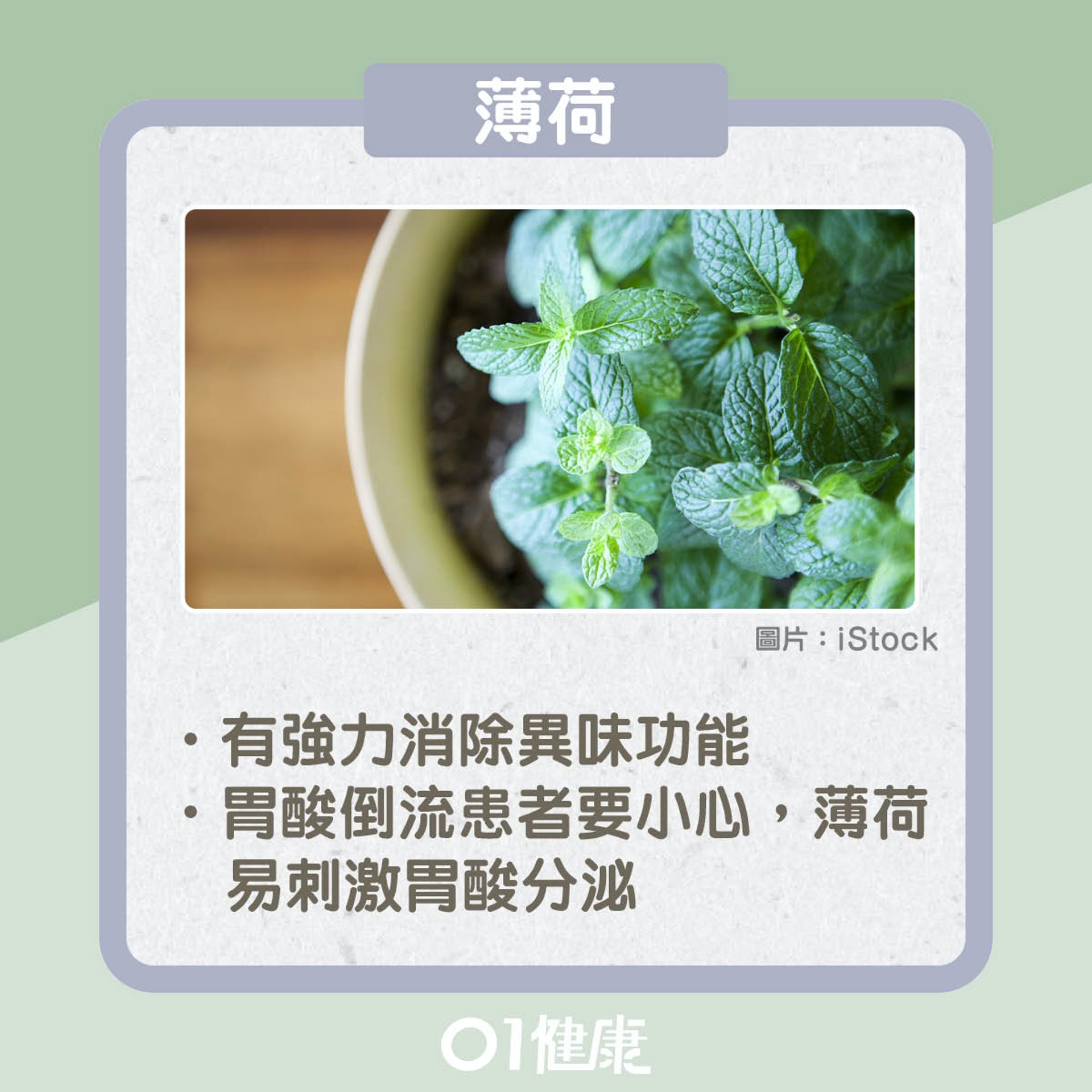 消除口臭食物(01製圖) 消除口臭食物(01製圖)