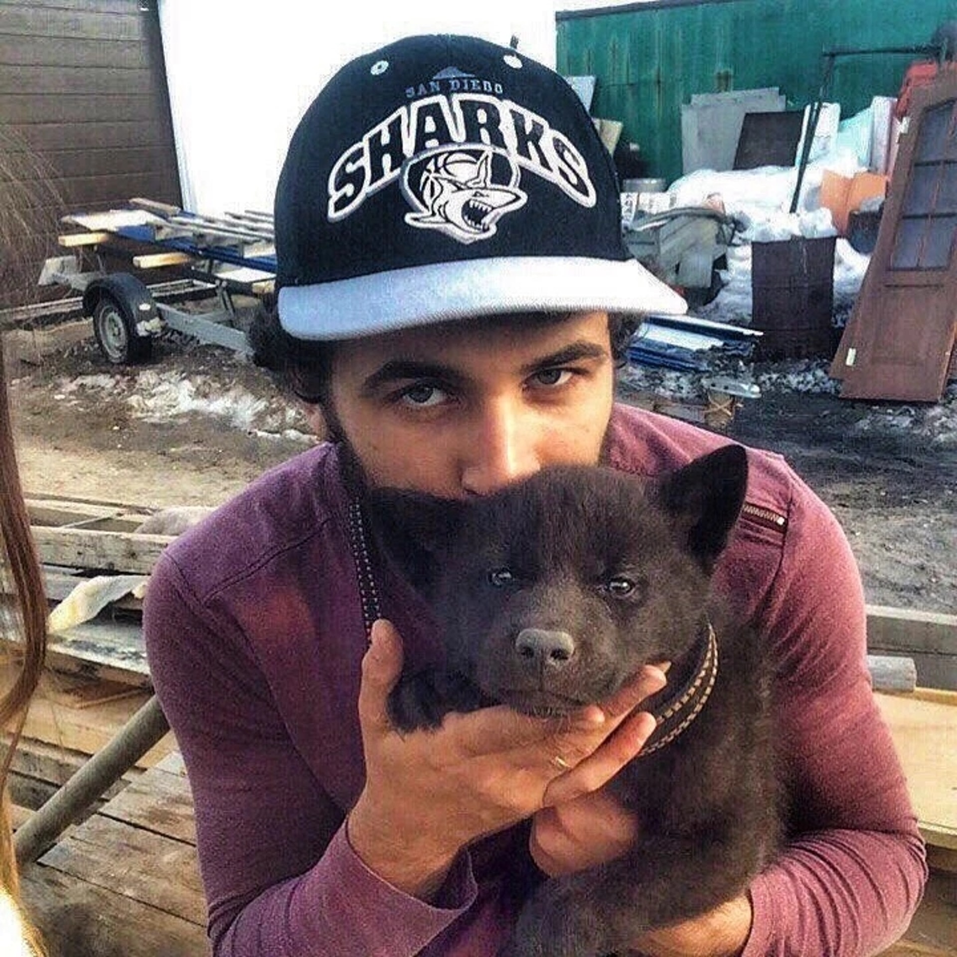Andrey在數年前收養了這隻全身黑乎乎的「小狗」。(Instagram@blackcanadianwolf) Andrey在數年前收養了這隻全身黑乎乎的「小狗」。(Instagram@blackcanadianwolf)