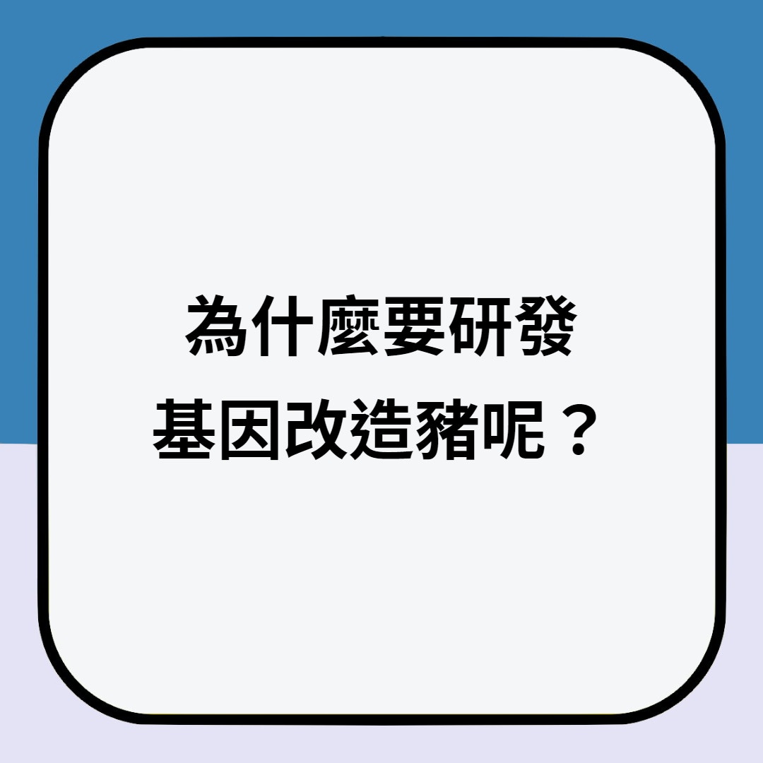 （01製圖）