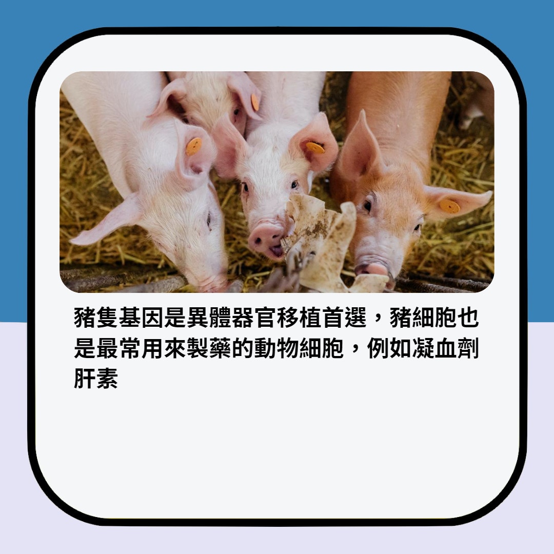 （01製圖／圖：食力提供）