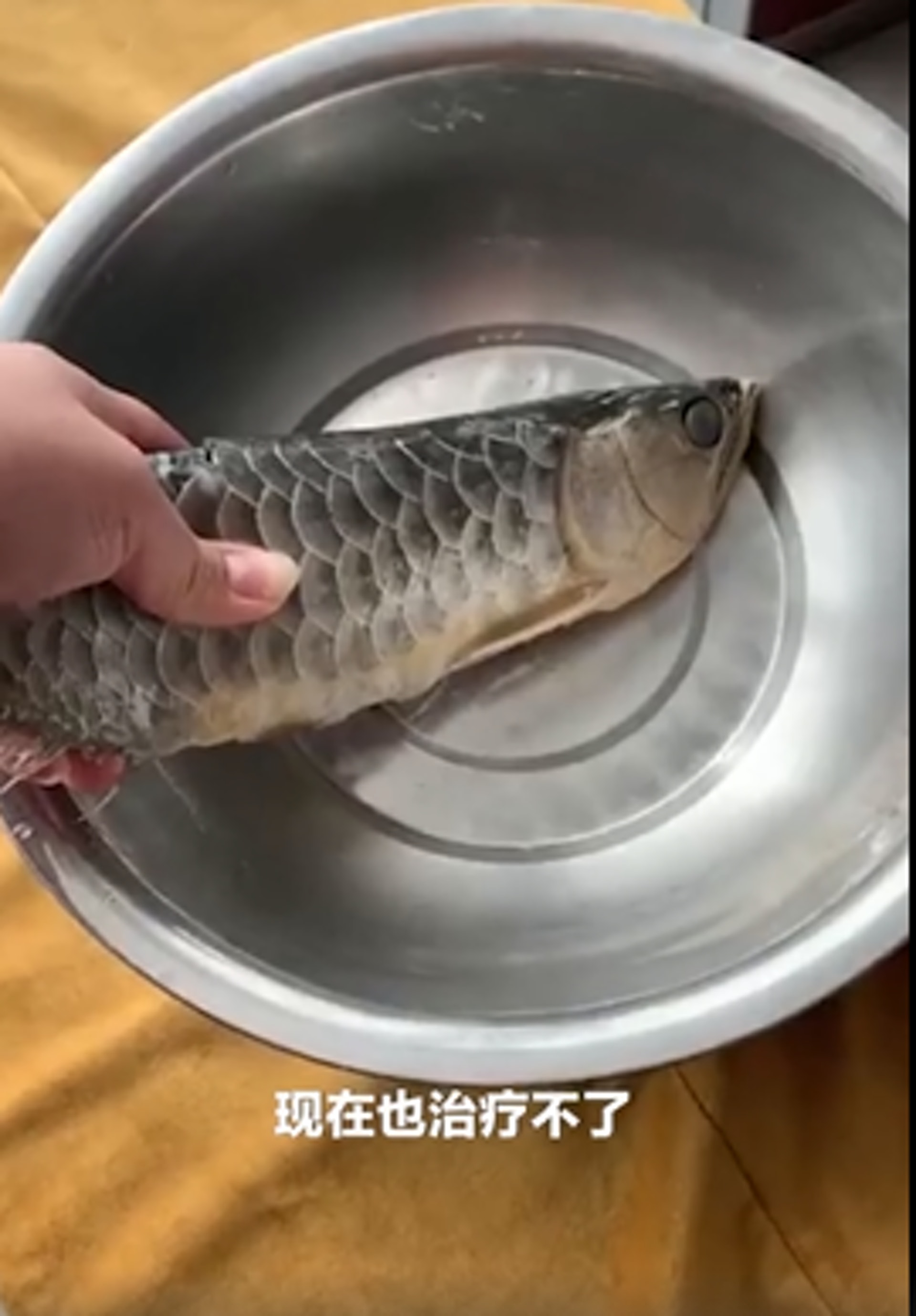 姜男拍攝了烹飪過程。(影片截圖) 姜男拍攝了烹飪過程。(影片截圖)
