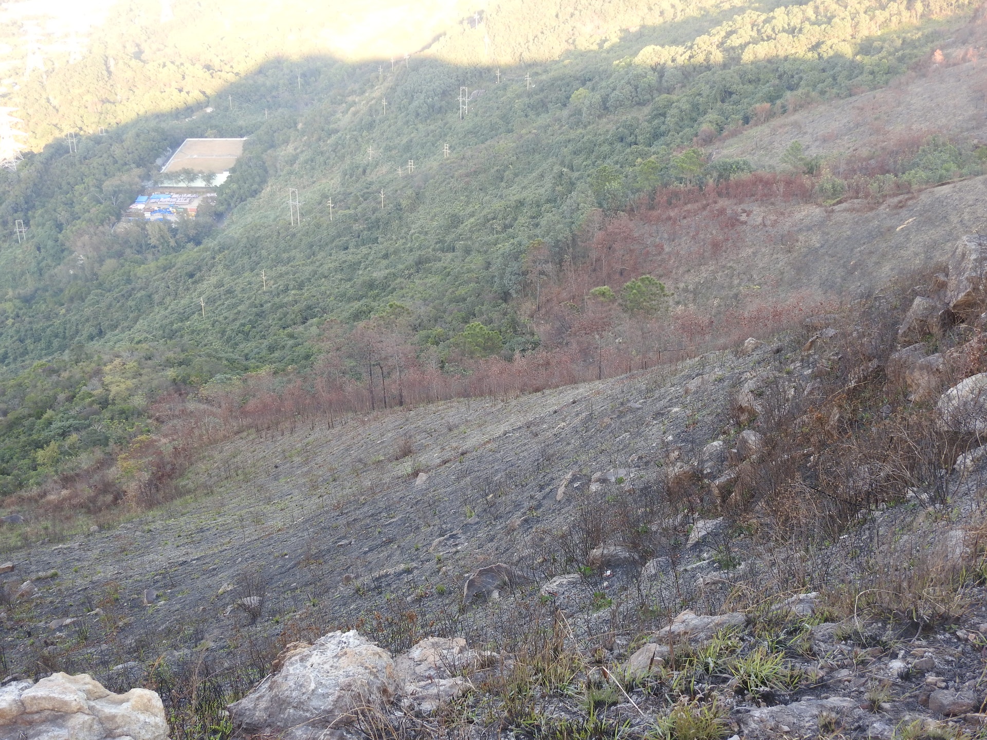 山火過後,山野頓成一片焦土。(綠惜地球提供) 山火過後,山野頓成一片焦土。(綠惜地球提供)