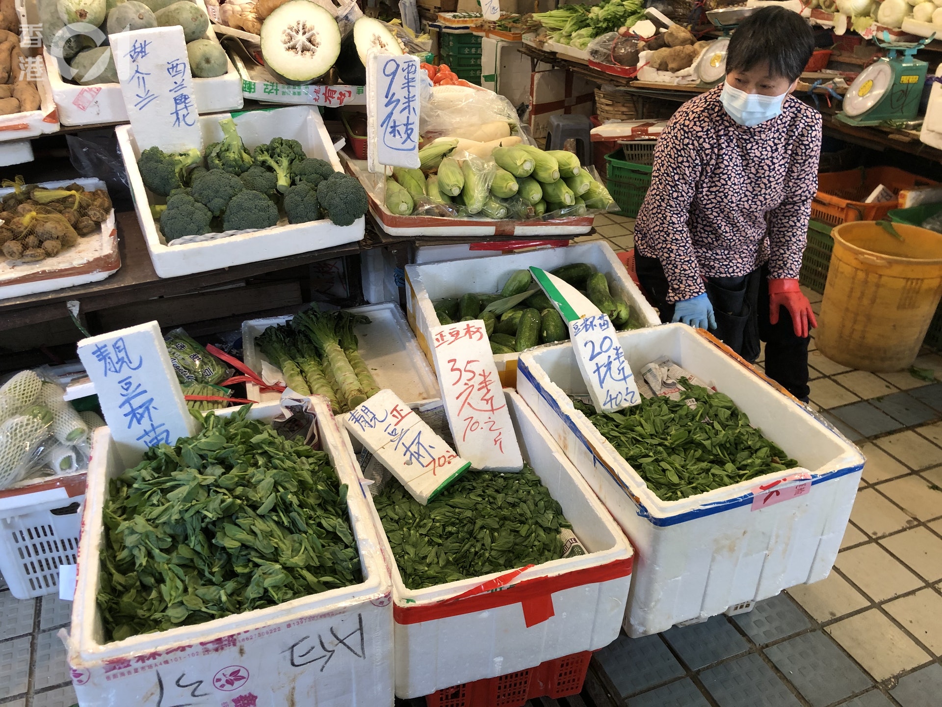 九龍城街市有記菜檔販賣蔬菜的陳太指出豆杯貴是因為天氣一凍就會少。(馬煒傑攝) 九龍城街市有記菜檔販賣蔬菜的陳太指出豆杯貴是因為天氣一凍就會少。(馬煒傑攝)