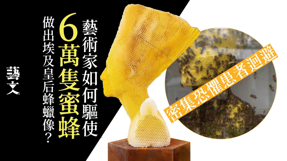 蜂巢藝術|6萬隻蜜蜂自行築巢 竟打造出埃及傳奇皇后的半身人像 蜂巢藝術|6萬隻蜜蜂自行築巢 竟打造出埃及傳奇皇后的半身人像