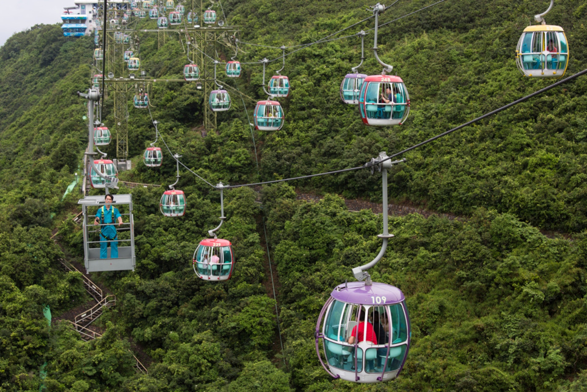 2021年6月3日至30日期間入海洋公園、並已接種最少一劑疫苗的訪客,可每人獲贈一套園內優惠券。(資料圖片) 2021年6月3日至30日期間入海洋公園、並已接種最少一劑疫苗的訪客,可每人獲贈一套園內優惠券。(資料圖片)