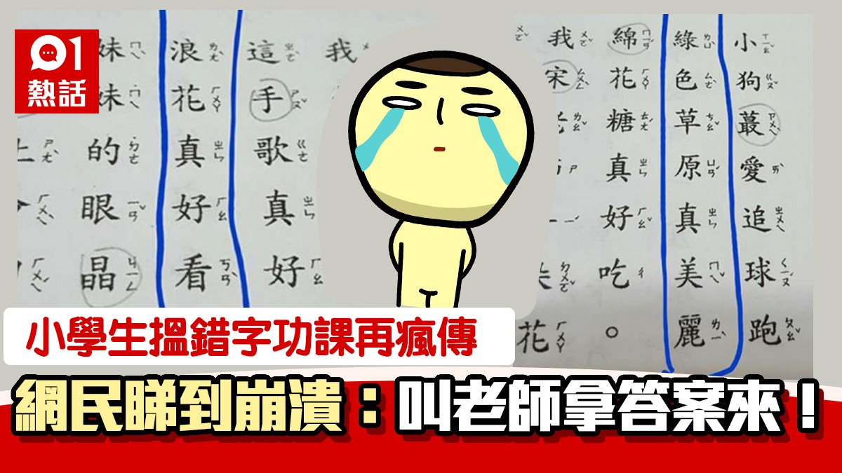 小學功課找錯字 「綠色草原真美麗」再瘋傳 網民崩潰:求答案