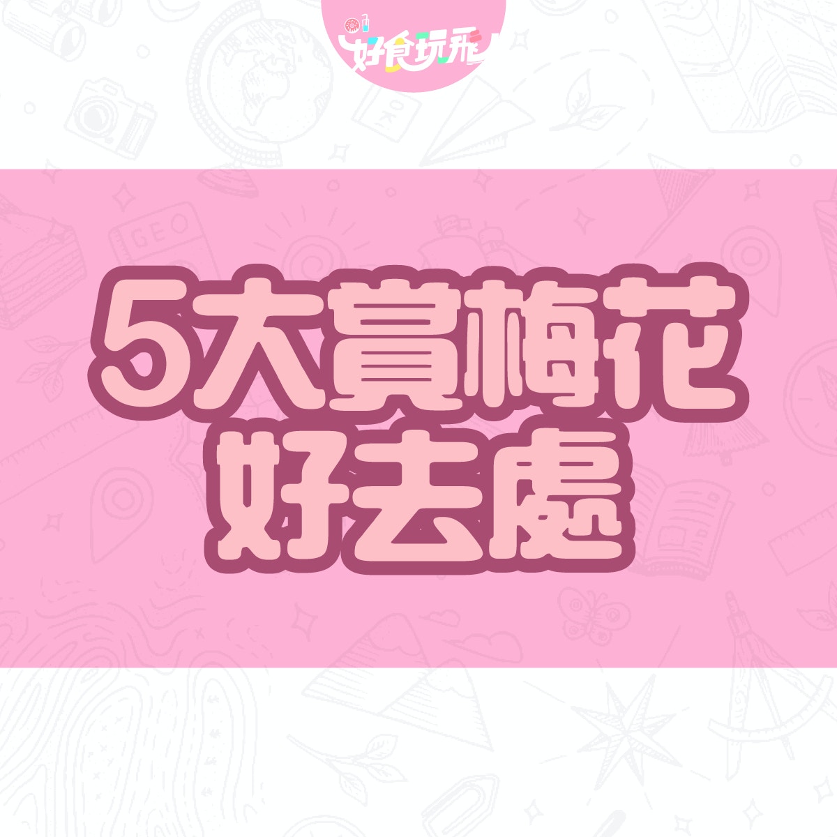 賞梅花香港5大好去處大埔農墟 錦田白梅盛放九龍公園有紅梅
