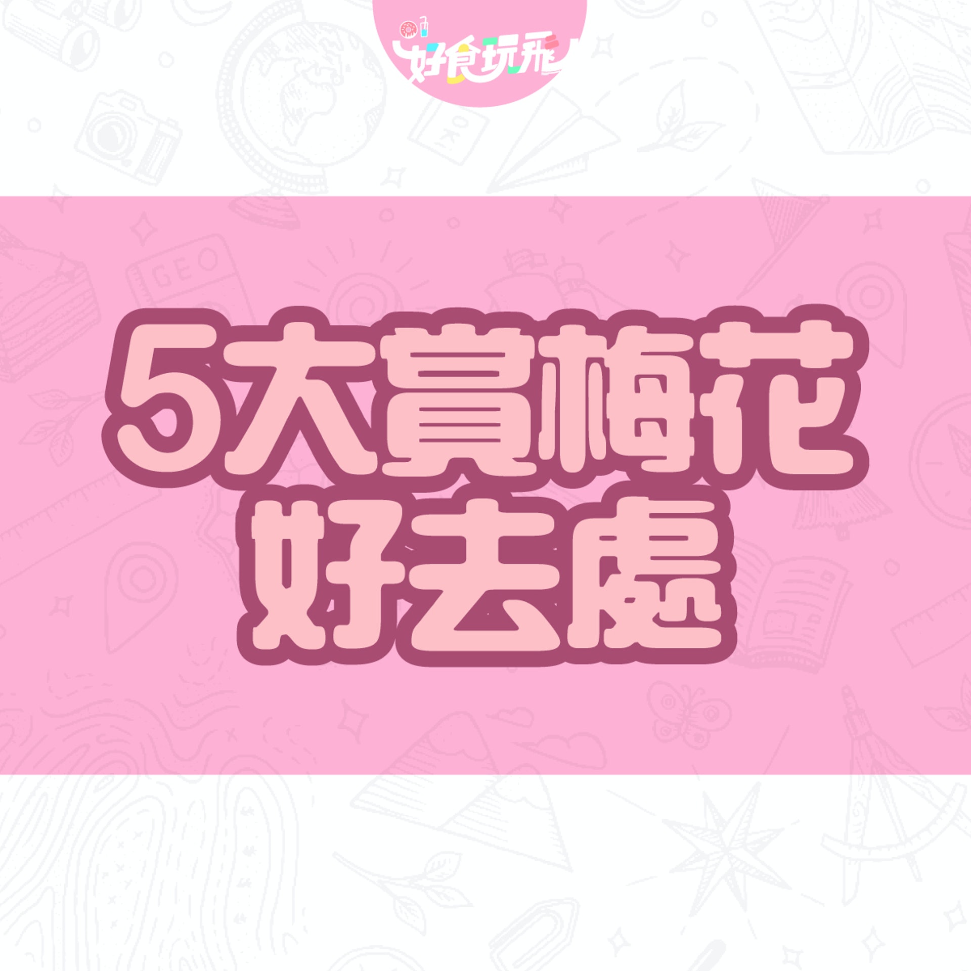 賞梅花香港5大好去處大埔農墟 錦田白梅盛放九龍公園有紅梅 賞梅花香港5大好去處大埔農墟 錦田白梅盛放九龍公園有紅梅