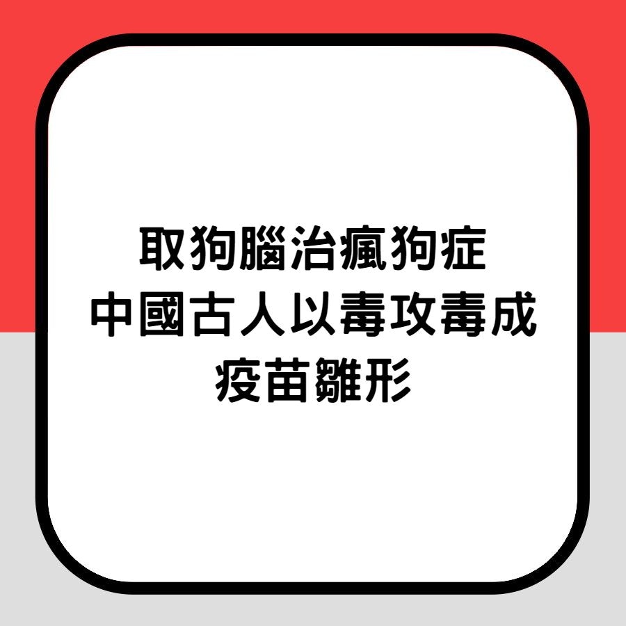 【取狗腦治瘋狗症　中國古人以毒攻毒成疫苗雛形】（香港01製圖）