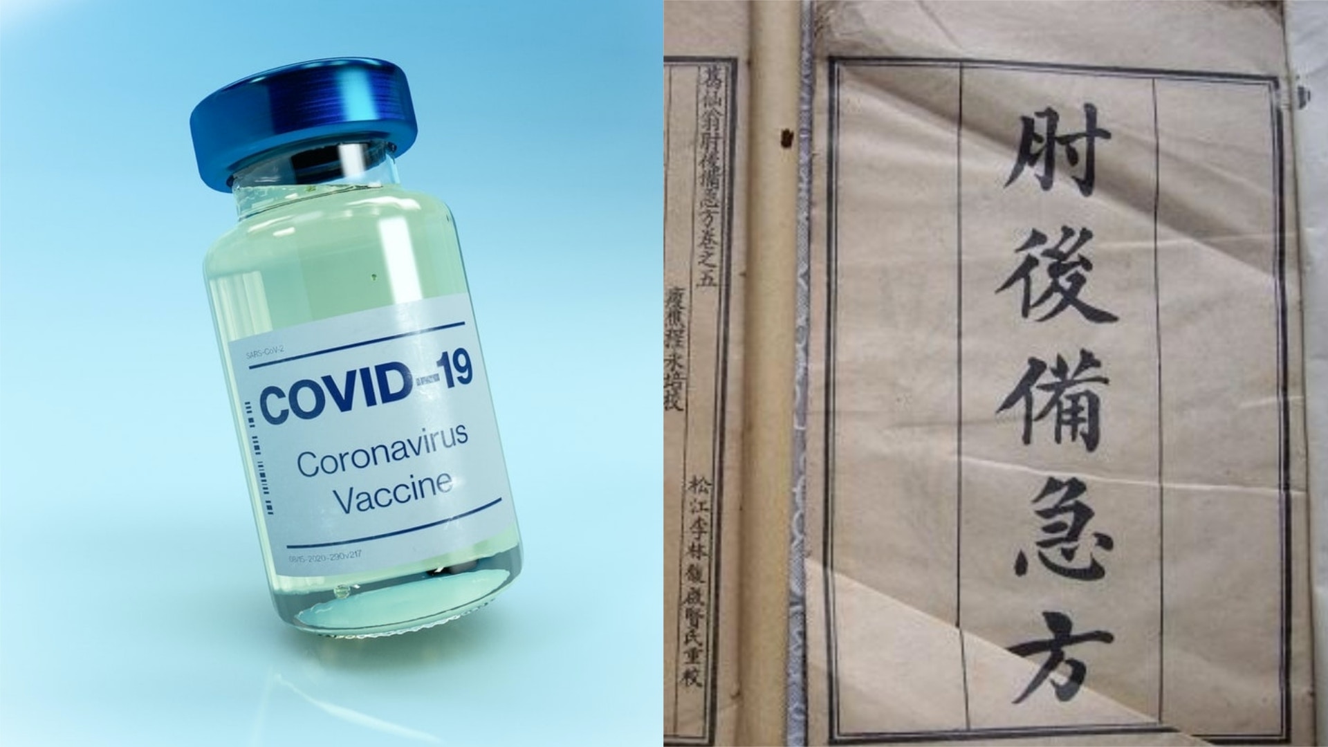 新冠疫苗｜取狗腦治瘋狗症　中國古人早已用「類疫苗」方式治疫病