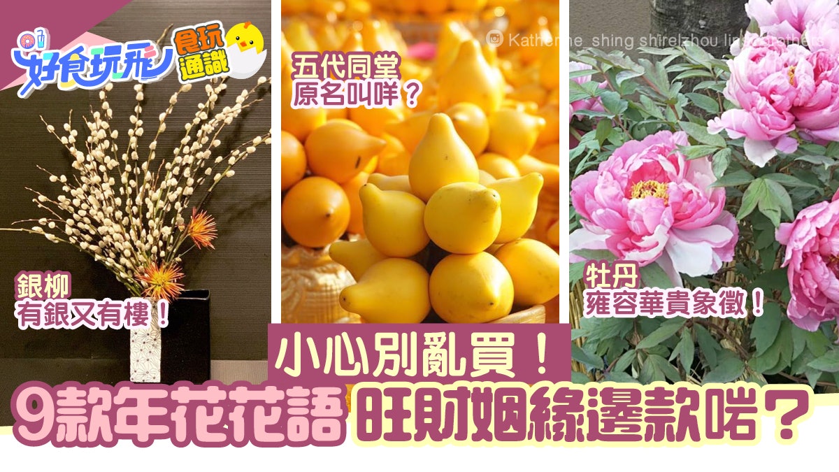 年花21 9款年花幸福花語銀柳 有錢有樓五代同堂原名是 年花21 9款年花幸福花語銀柳 有錢有樓五代同堂原名是