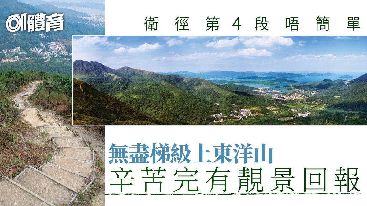 九龍行山路線|登東洋山俯瞰西貢靚景 挑戰衛奕信徑四段艱苦上山 九龍行山路線|登東洋山俯瞰西貢靚景 挑戰衛奕信徑四段艱苦上山