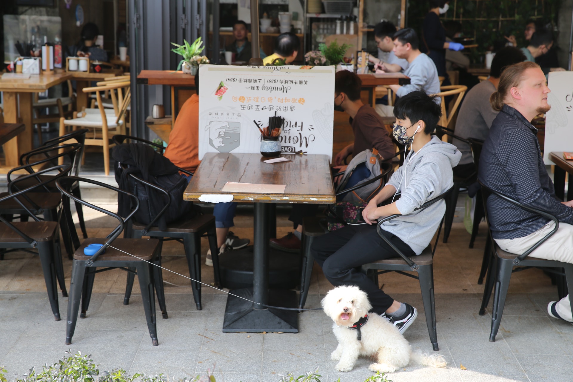翩滙坊露天茶座原意吸納「帶狗客」,在附近遊逛寵物公園後坐在露天位置消費。(蔡正邦攝) 翩滙坊露天茶座原意吸納「帶狗客」,在附近遊逛寵物公園後坐在露天位置消費。(蔡正邦攝)