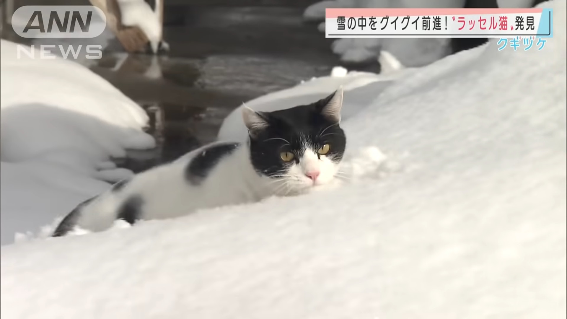(ANNnewsCH@YouTube) (ANNnewsCH@YouTube)