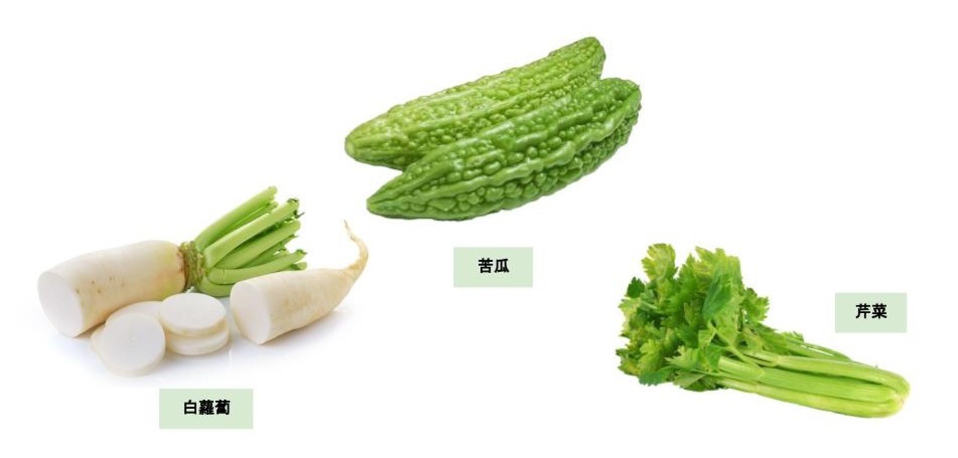 (圖片:pngegg) (圖片:pngegg)