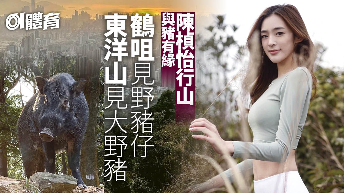 【行山】港姐亞軍陳楨怡上東洋山　睇完芒草再欣賞九龍城市日落