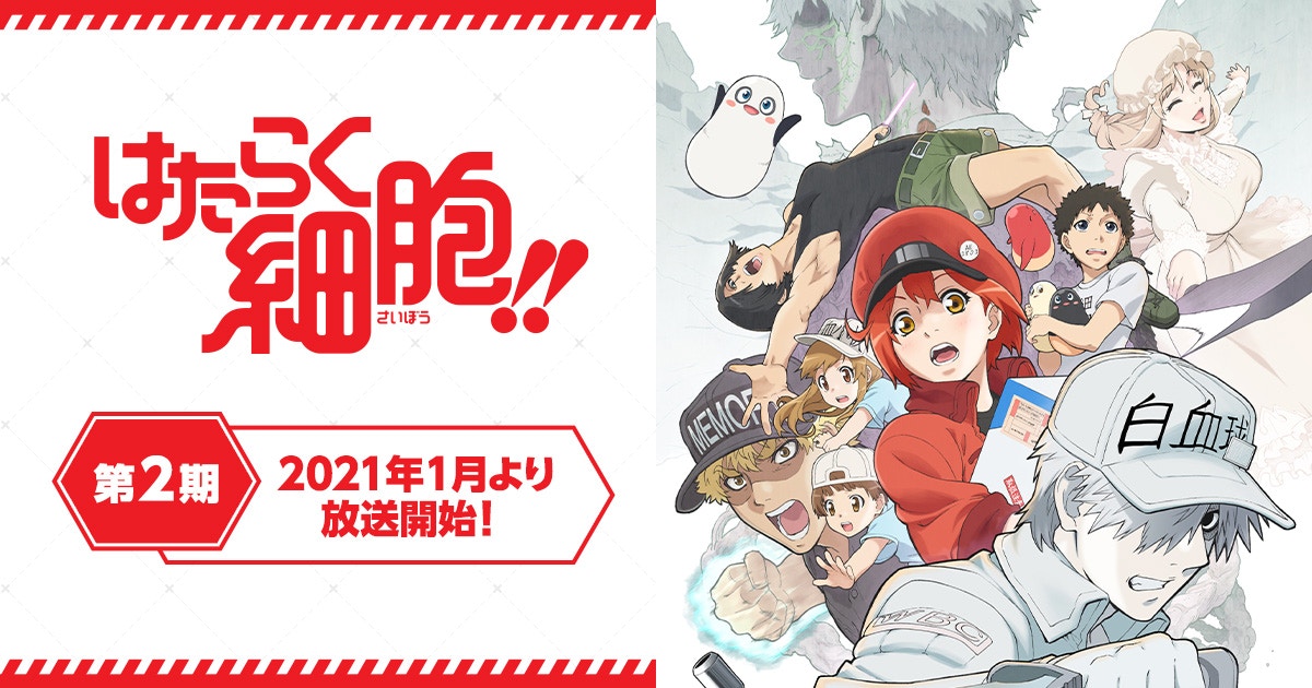 1. 《工作細胞》 第二季：曾經在2018年推特爆紅的現象級作品《工作細胞》又回來了！將人類身體中各種細胞擬人化，可愛塑造出印象深刻的角色們——可愛到可以起爭議的「血小板」以及超帥氣的「白血球」等