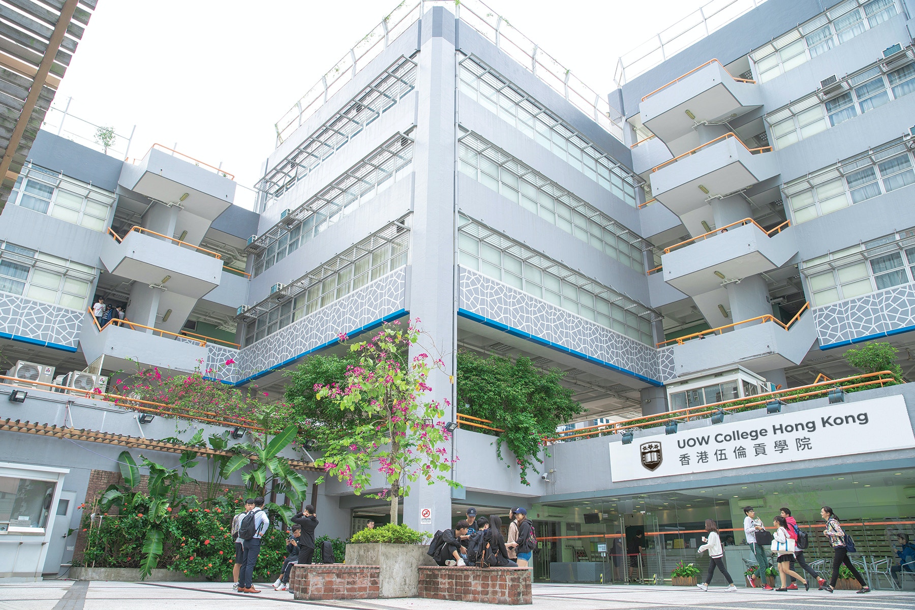 香港伍倫貢學院料未來數年屬收生寒冬推6個新高級文憑課程吸生 香港01 社會新聞