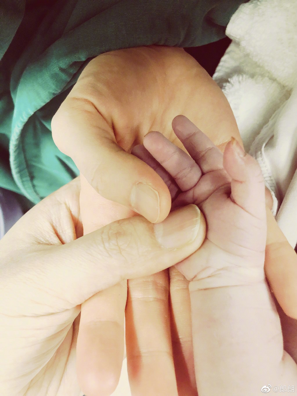 郎朗曬 三手合照 宣布老婆吉娜順利誕子 家庭音樂會的小聽眾