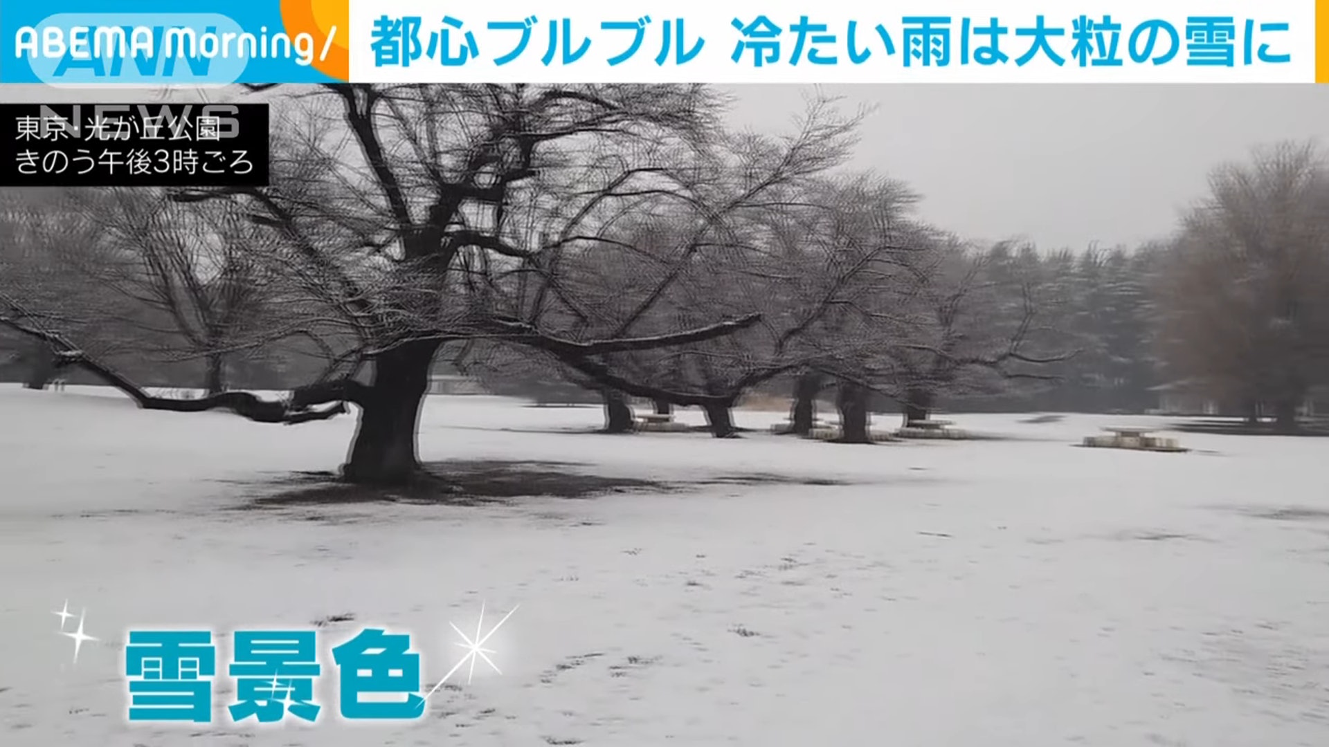 東京迎首波大雪 30幅圖漫步飄雪東京感受絕美冬天風物詩 多圖 香港01 旅遊 東京迎首波大雪 30幅圖漫步飄雪東京感受絕美冬天風物詩 多圖 香港01 旅遊