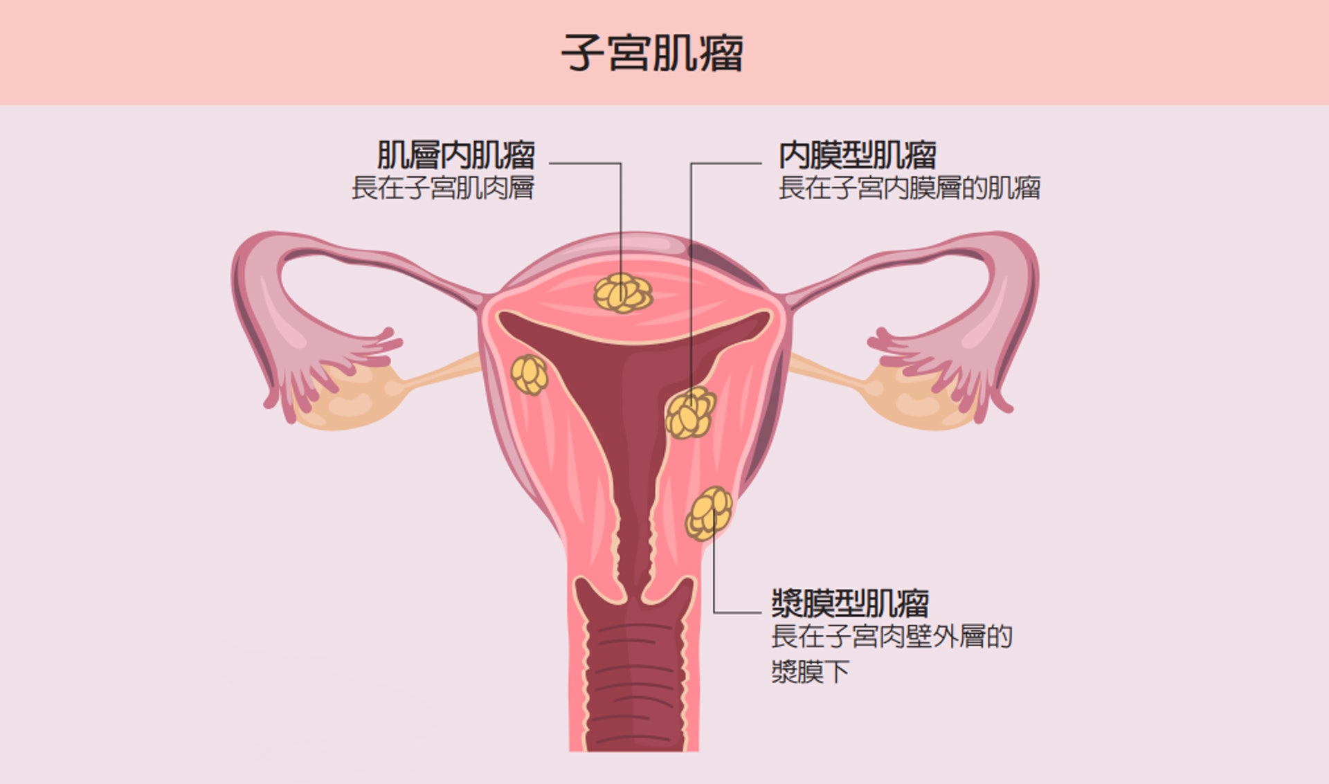 (圖片:123RF) (圖片:123RF)