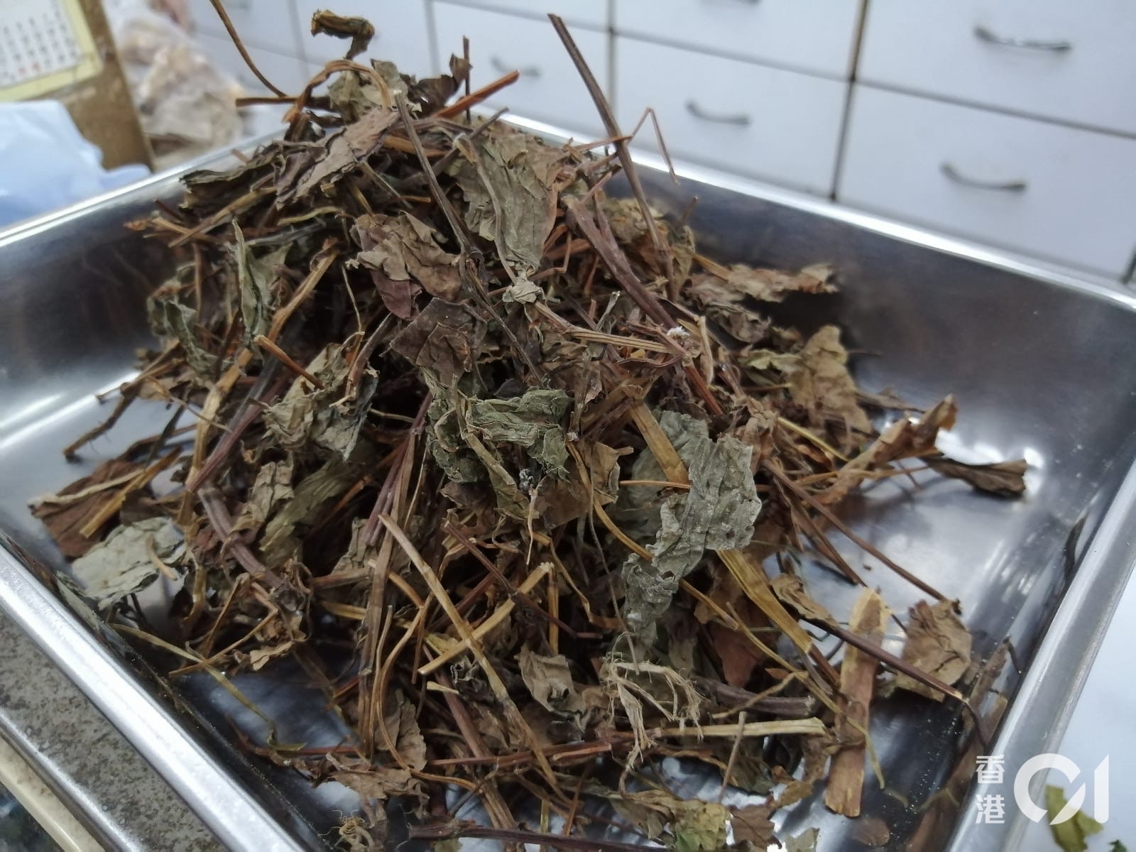 魚腥草茶有清熱解毒、降火、抗炎、消腫排膿、利尿通淋（小便）、改善泌尿系統炎症等功效。(資料圖片)