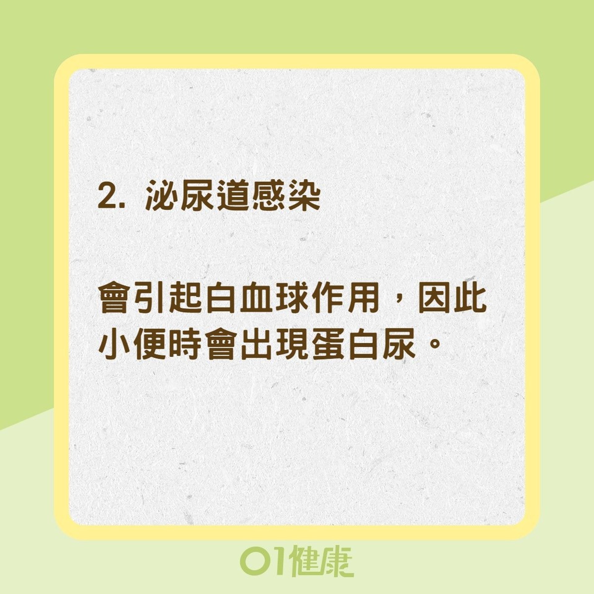 4種疾病出現蛋白尿(01製圖) 4種疾病出現蛋白尿(01製圖)