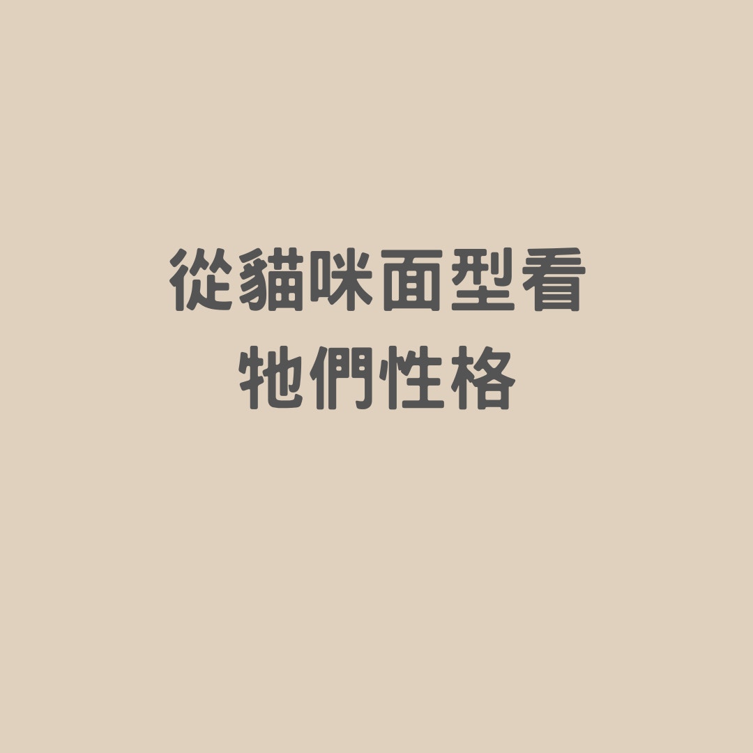 貓貓面型看牠們性格（01製圖）