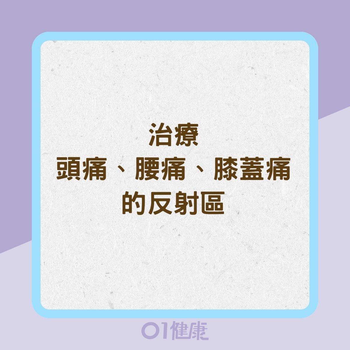 治療頭痛、腰痛、膝蓋痛的反射區（01製圖）