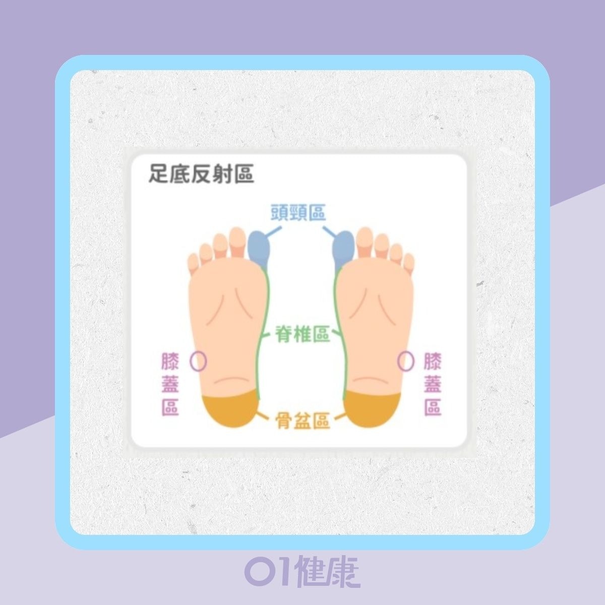 治療頭痛、腰痛、膝蓋痛的反射區（Heho健康授權使用/01製圖）