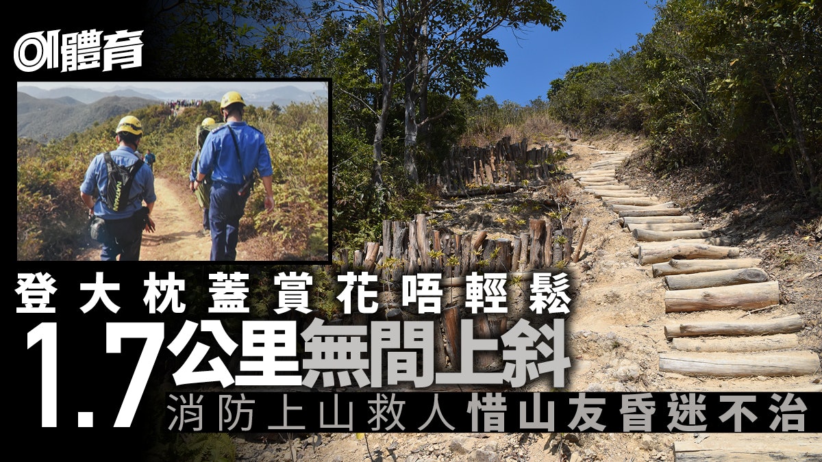 【行山】遊人逼滿大枕蓋賞吊鐘花 中年女山友上山路上暈倒不治 【行山】遊人逼滿大枕蓋賞吊鐘花 中年女山友上山路上暈倒不治