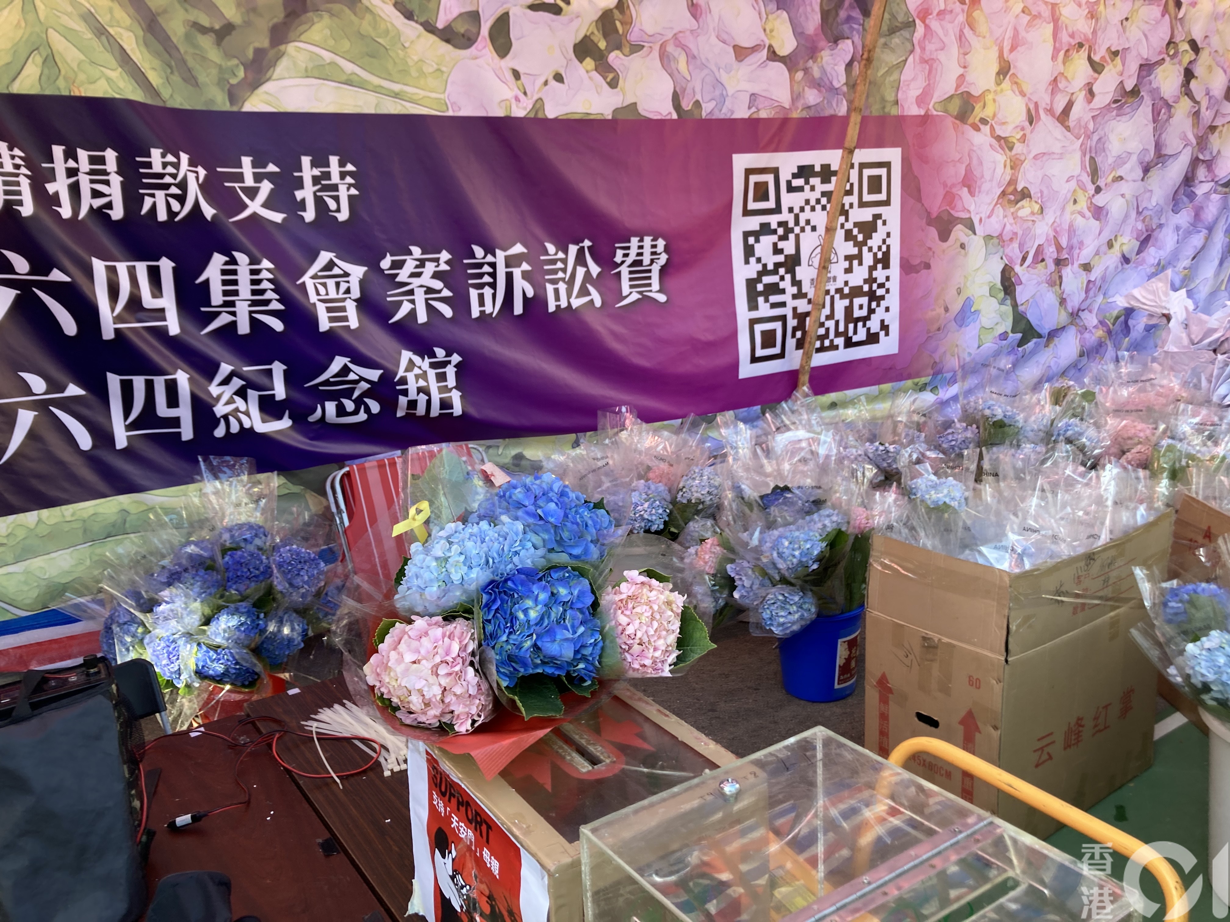 食環要求支聯會維園年宵攤位拆除賣花無關內容蔡耀昌批政治打壓 香港01 政情