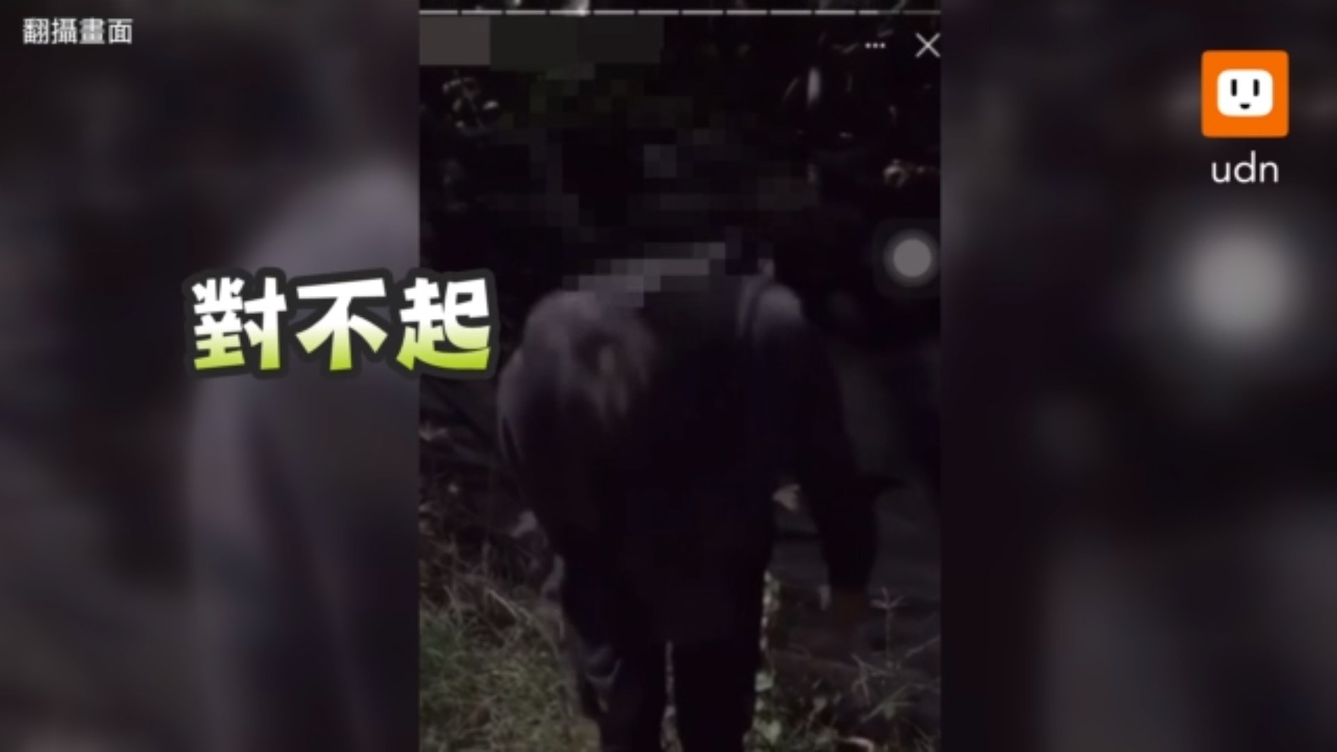 涉霸凌林姓高職少女的19歲黃姓男子,今凌晨在高雄大寮區某墓園遭約20人圍毆動私刑,被打到手骨折。(聯合新聞網提供) 涉霸凌林姓高職少女的19歲黃姓男子,今凌晨在高雄大寮區某墓園遭約20人圍毆動私刑,被打到手骨折。(聯合新聞網提供)