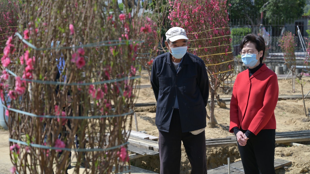 政壇諸事町︳林鄭探禮賓府「御用」桃花農 行街市掃「安心出行」 政壇諸事町︳林鄭探禮賓府「御用」桃花農 行街市掃「安心出行」