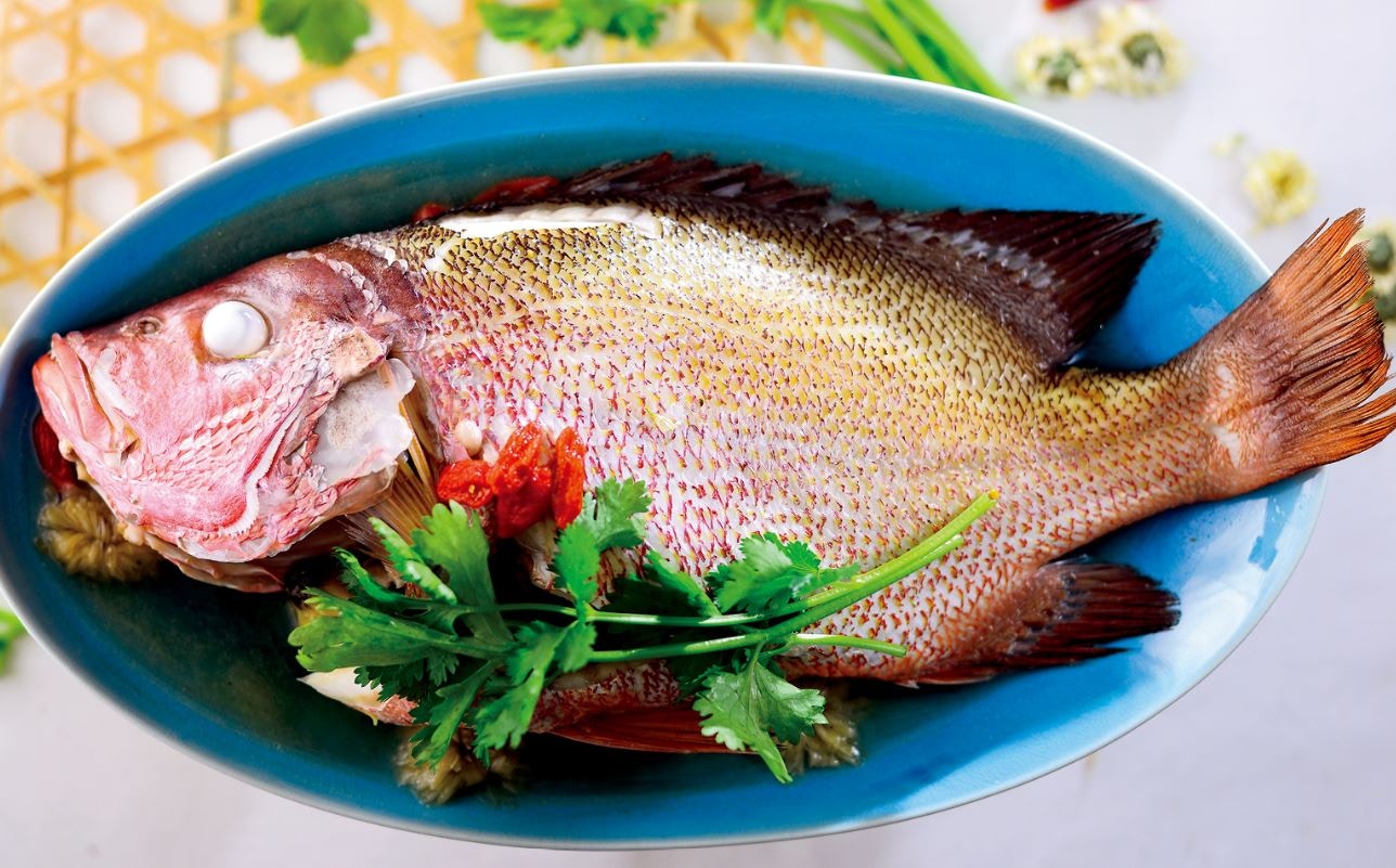 團年飯 清肝明目菊花杞子浸紅鮋煮魚湯去腥增鮮謹記2大技巧