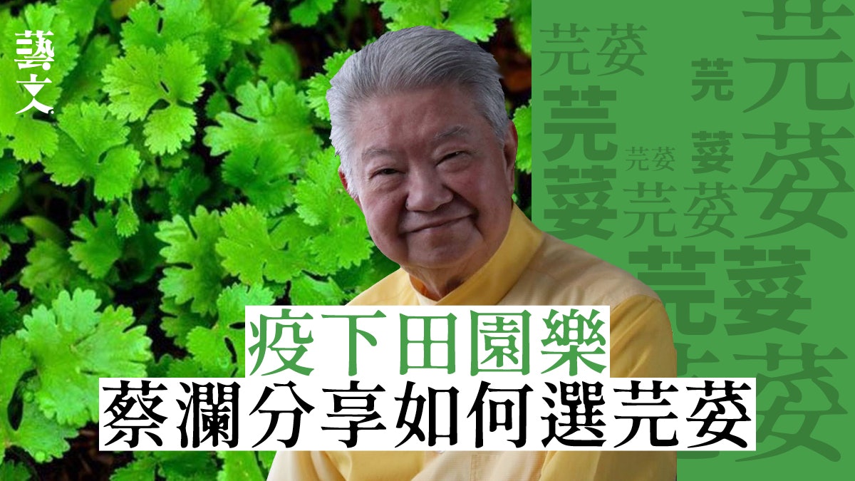 蔡瀾搜求中國芫荽原種 在家玩種植種食材|與爾同銷萬古愁 蔡瀾搜求中國芫荽原種 在家玩種植種食材|與爾同銷萬古愁