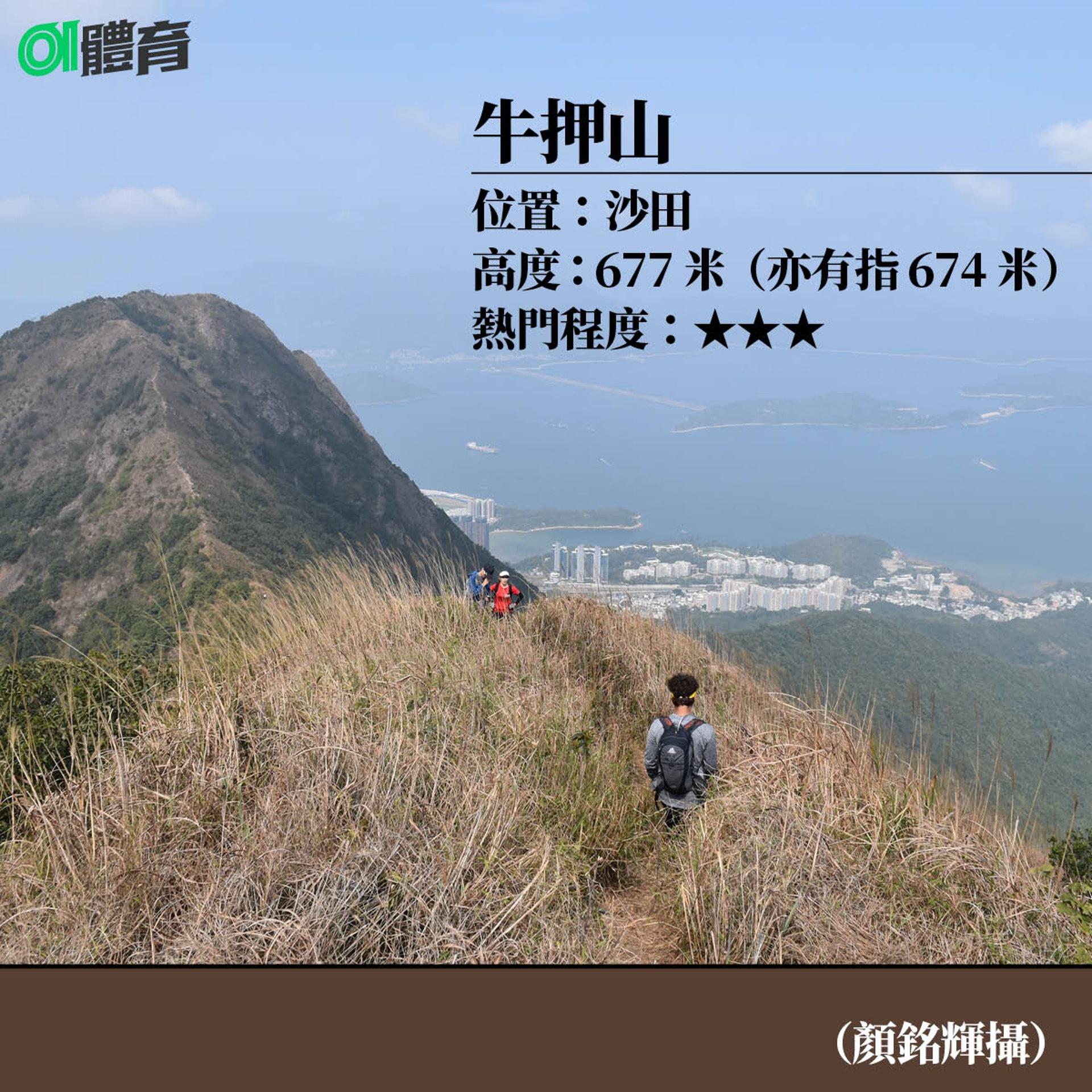 牛押山是馬鞍山副峰,也被稱為馬鞍尾,是全港最高的「牛」山。通常行山人士會連走吊手岩、牛押山及馬鞍山。(01美術製圖) 牛押山是馬鞍山副峰,也被稱為馬鞍尾,是全港最高的「牛」山。通常行山人士會連走吊手岩、牛押山及馬鞍山。(01美術製圖)