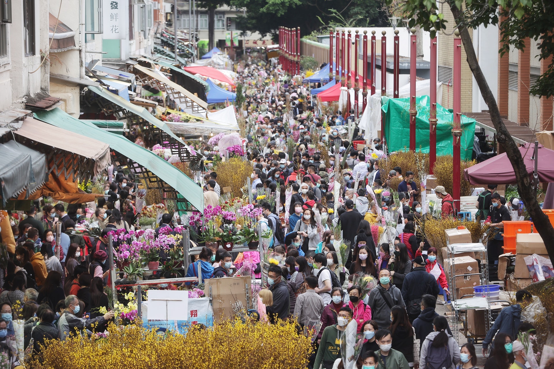 年三十旺角花墟仍然人頭湧湧,大批市民到場買年花過年。(李澤彤攝) 年三十旺角花墟仍然人頭湧湧,大批市民到場買年花過年。(李澤彤攝)