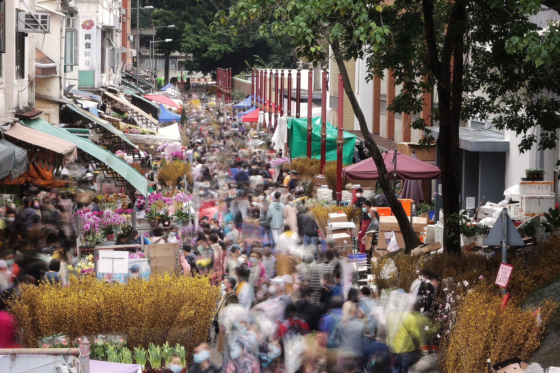 年三十旺角花墟仍然人頭湧湧,大批市民到場買年花過年。(李澤彤攝) 年三十旺角花墟仍然人頭湧湧,大批市民到場買年花過年。(李澤彤攝)