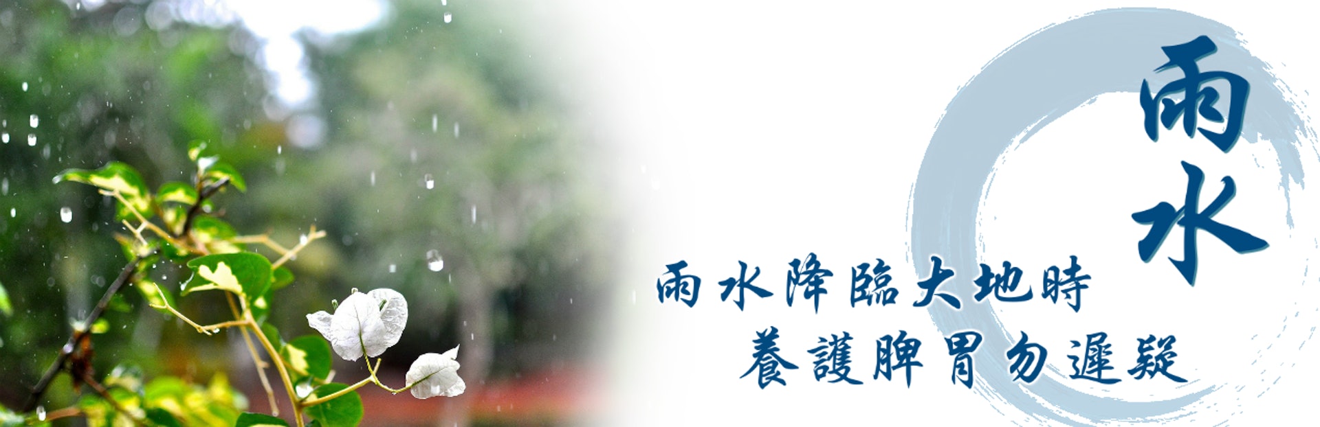 (圖片:cmk.ha) (圖片:cmk.ha)