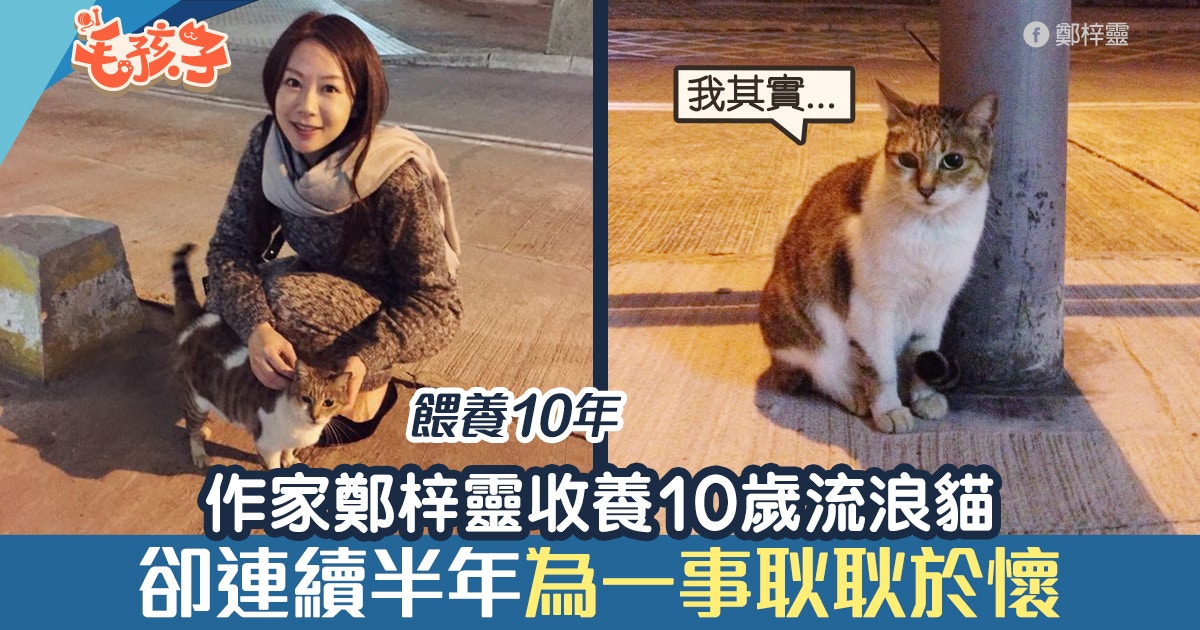 17歲唐貓婆婆患腎衰竭情人節安樂死爸走8km送最後一程原因虐心|香港01