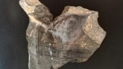 內地學者發現古代陶片存有「字痕」 刊出研究成果後始知擺烏龍 內地學者發現古代陶片存有「字痕」 刊出研究成果後始知擺烏龍