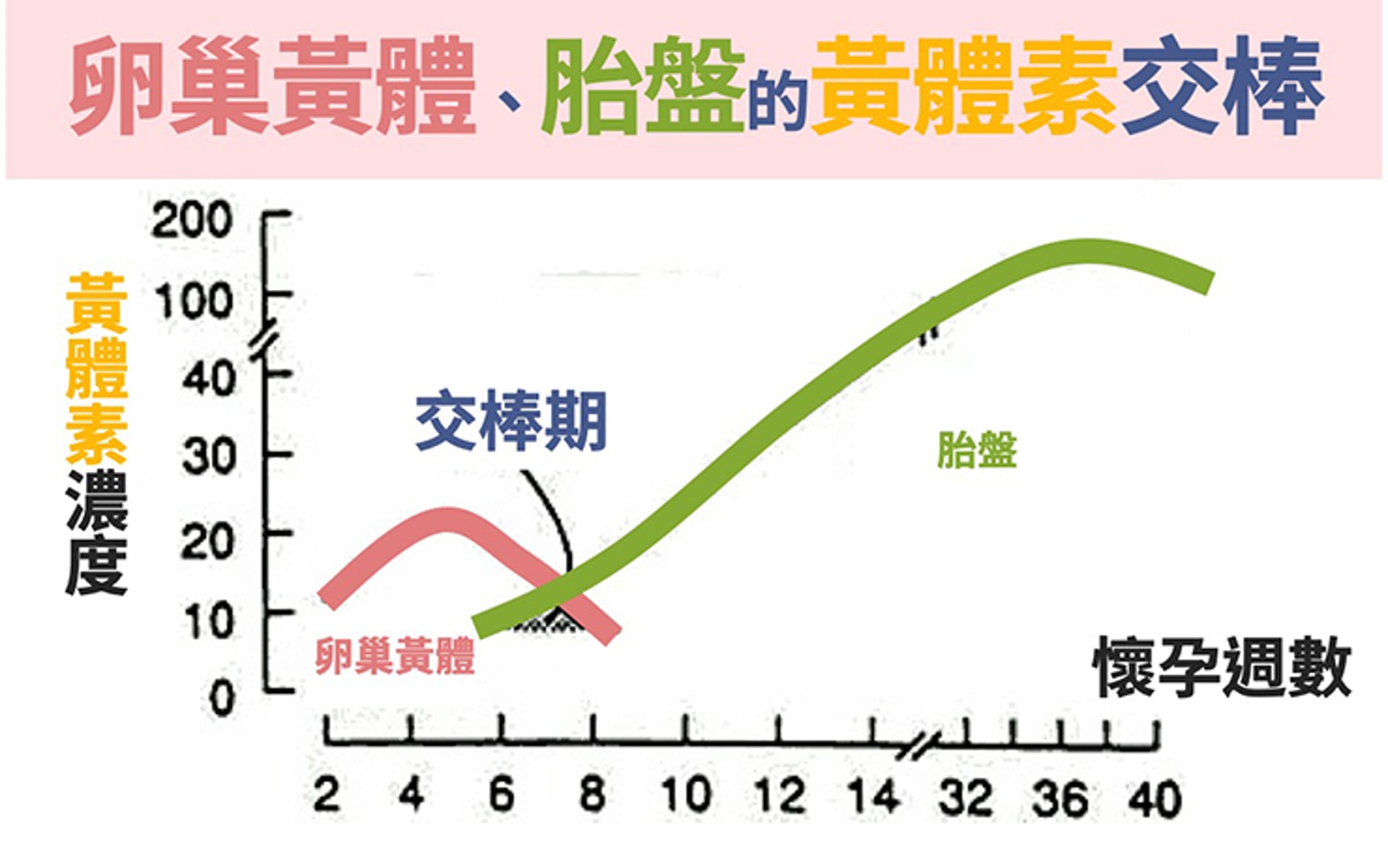 （圖片：careonline）