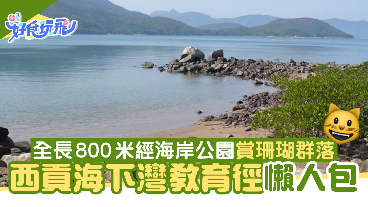西貢行山路線｜海下灣教育徑全長800米　經海岸公園賞珊瑚群落
